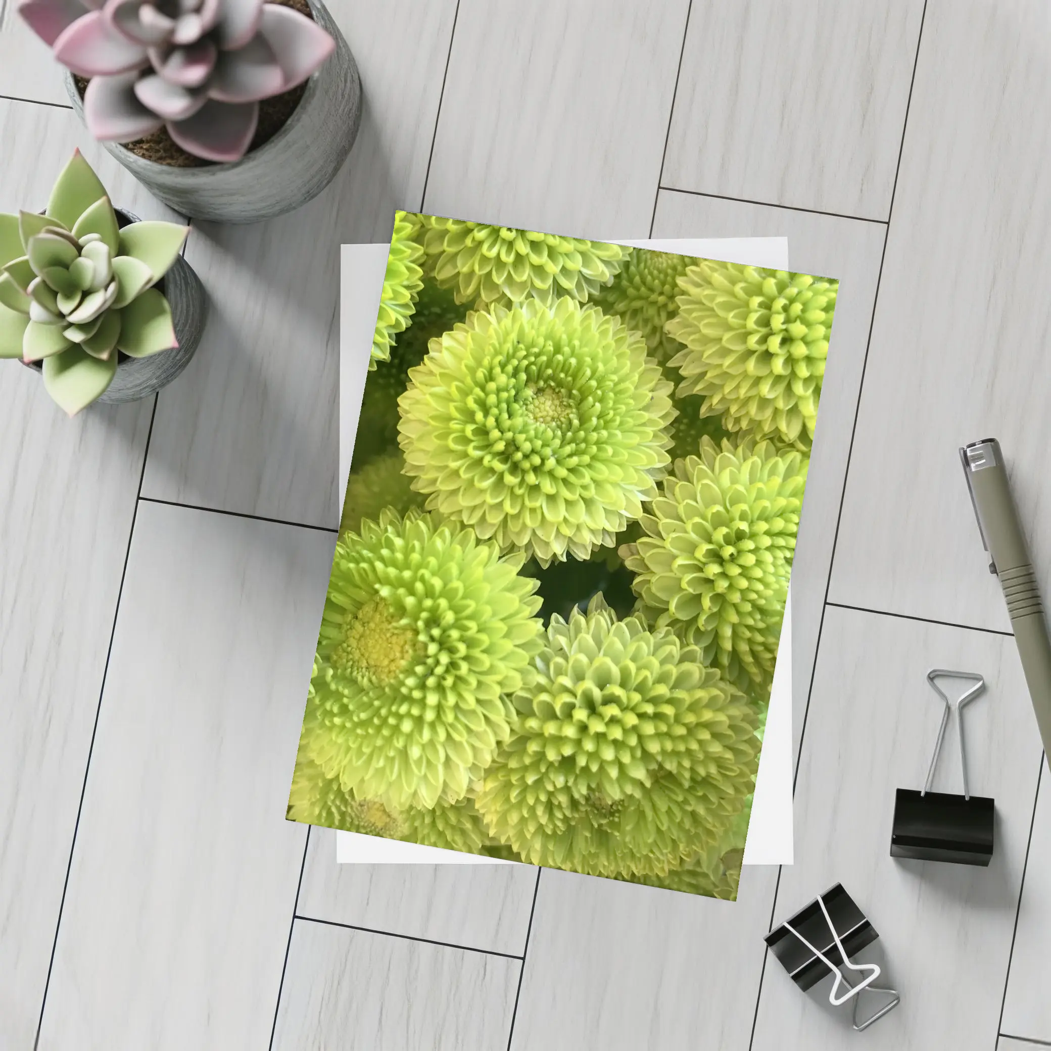 Green Chrysanthemum Flowers Close Up Cluster – Postcards