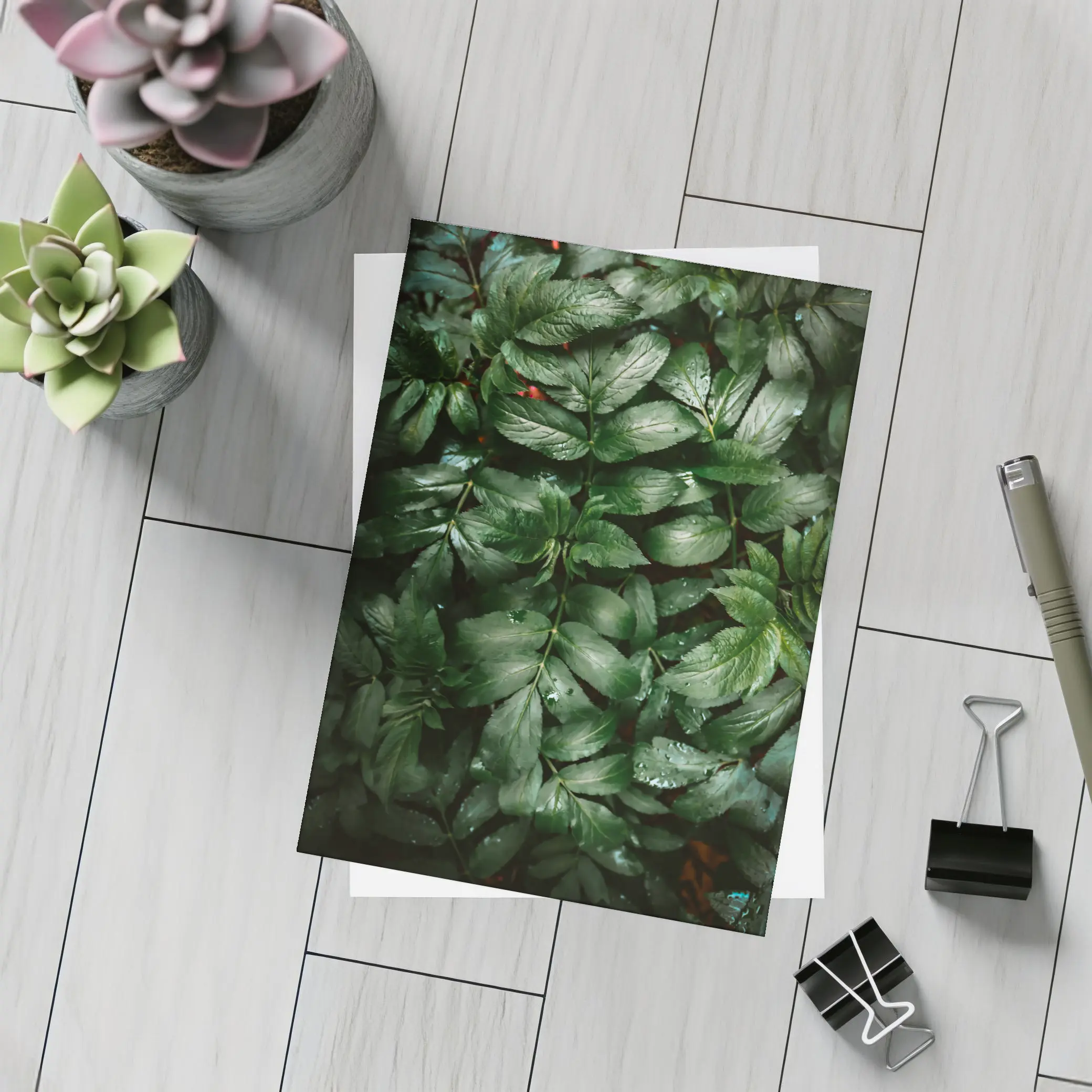 Dark Green Wet Leaves Nature Close Up – Postcards