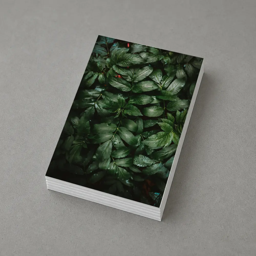 Dark Green Wet Leaves Nature Close Up – Postcards
