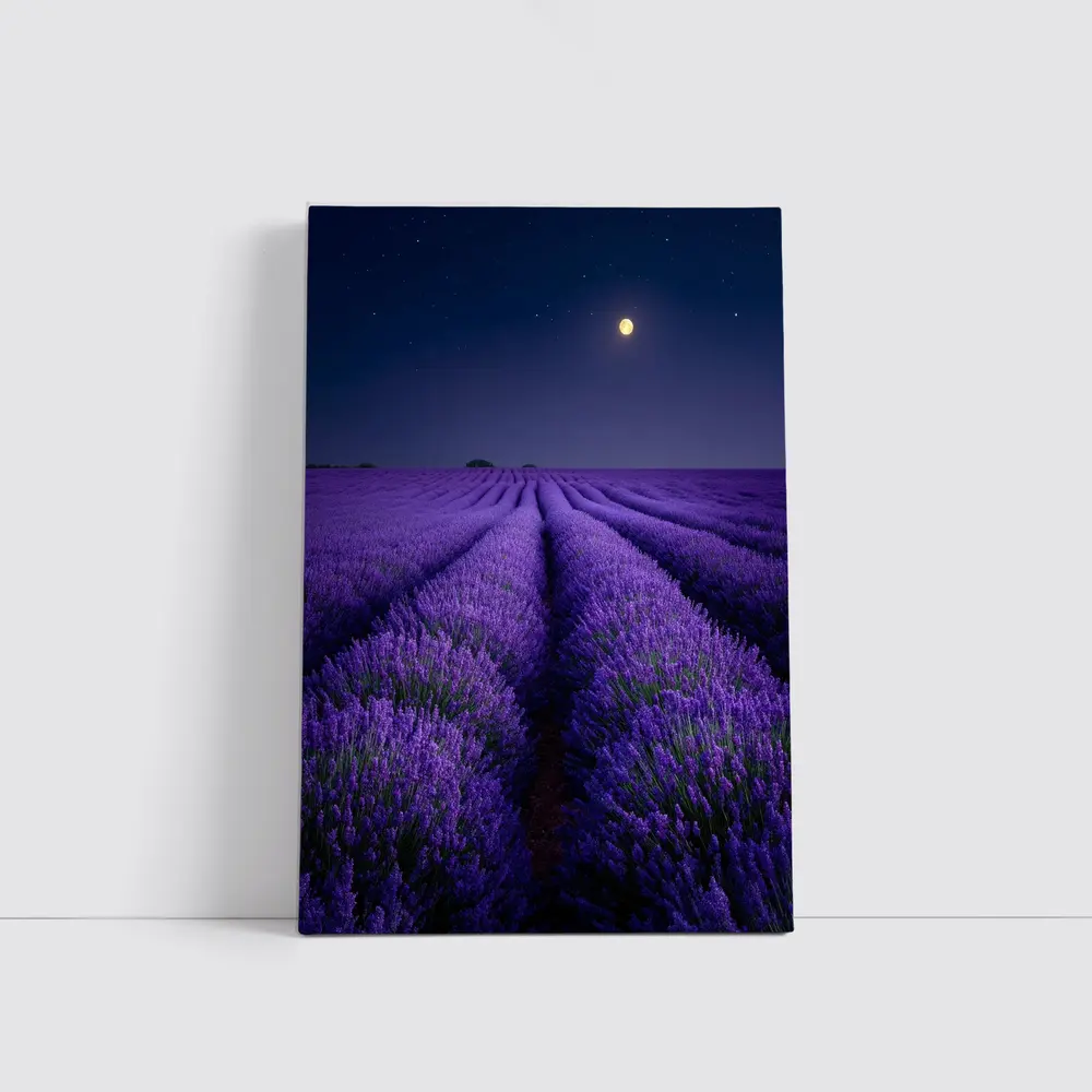 Lavender Field Full Moon Night Sky – Wall Art