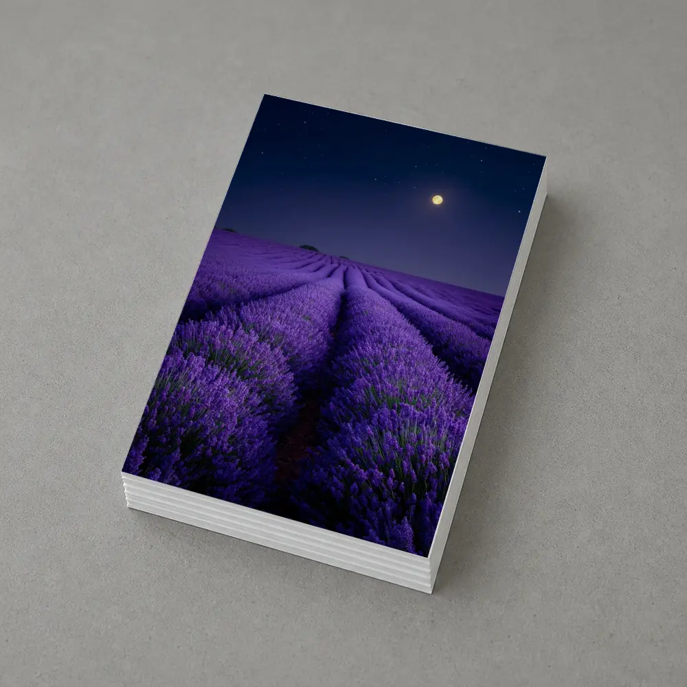 Lavender Field Full Moon Night Sky – Postcards