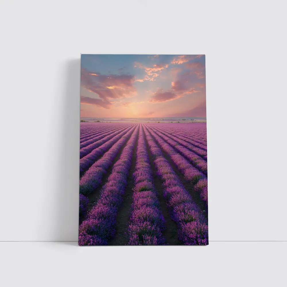 Lavender Field Rows At Sunset Sky – Wall Art