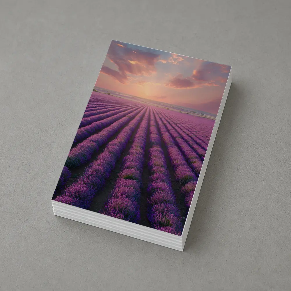 Lavender Field Rows At Sunset Sky – Postcards