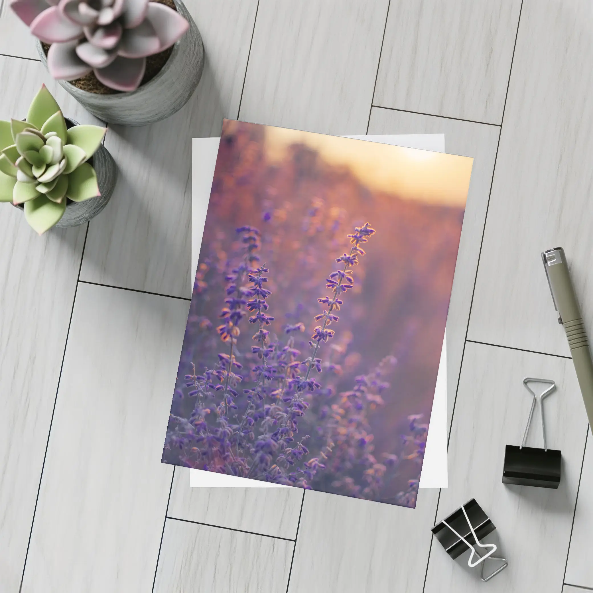 Purple Lavender Field Golden Sunset Glow – Postcards