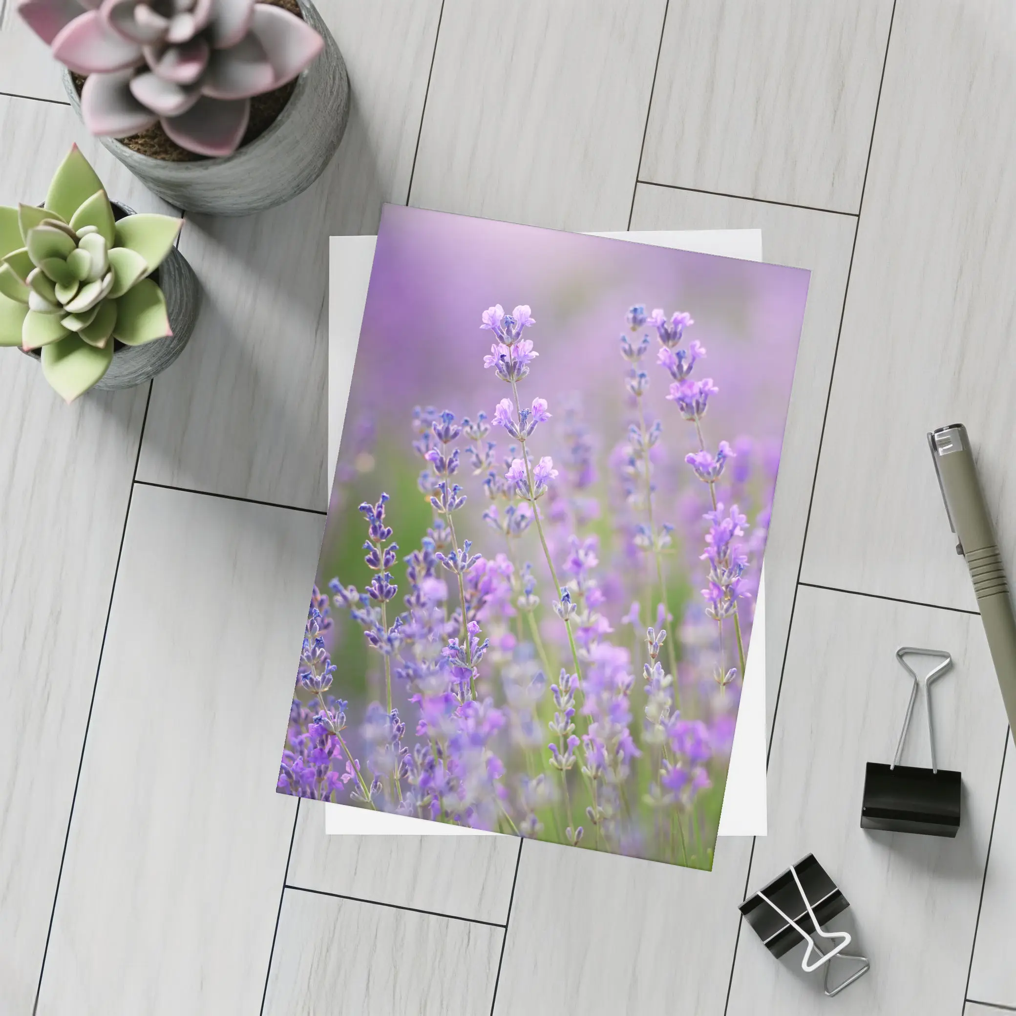 Lavender Flowers Purple Field Soft Light – Postcards