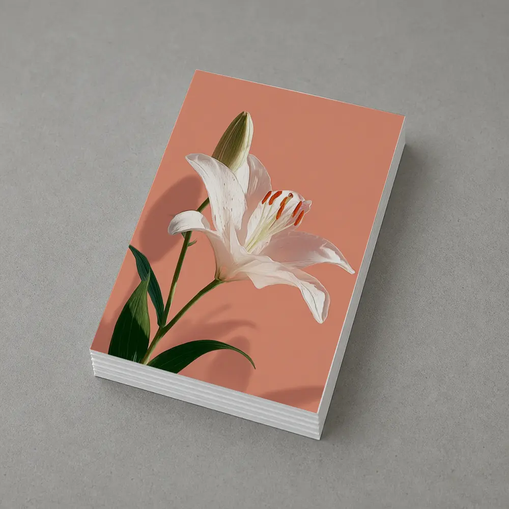 White Lily Flower Soft Peach Background – Postcards