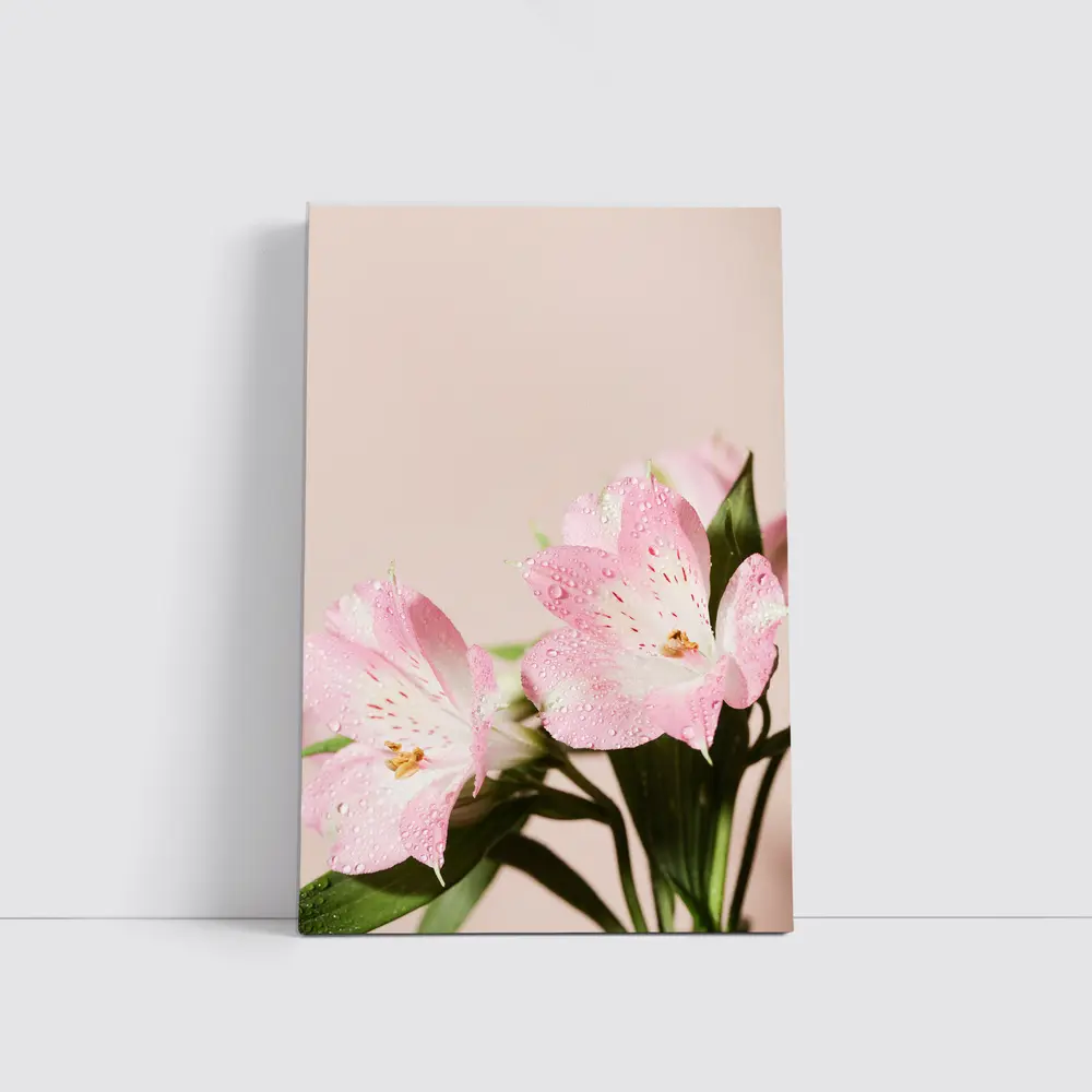 Pink Alstroemeria Flowers Soft Blush Background – Wall Art