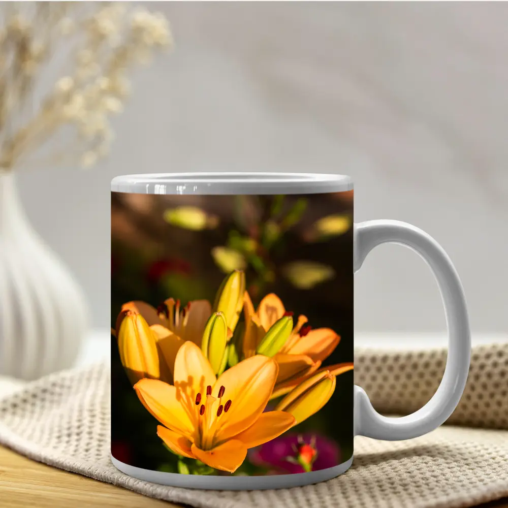 Orange Lily Flowers Blooming Garden Background – Mugs
