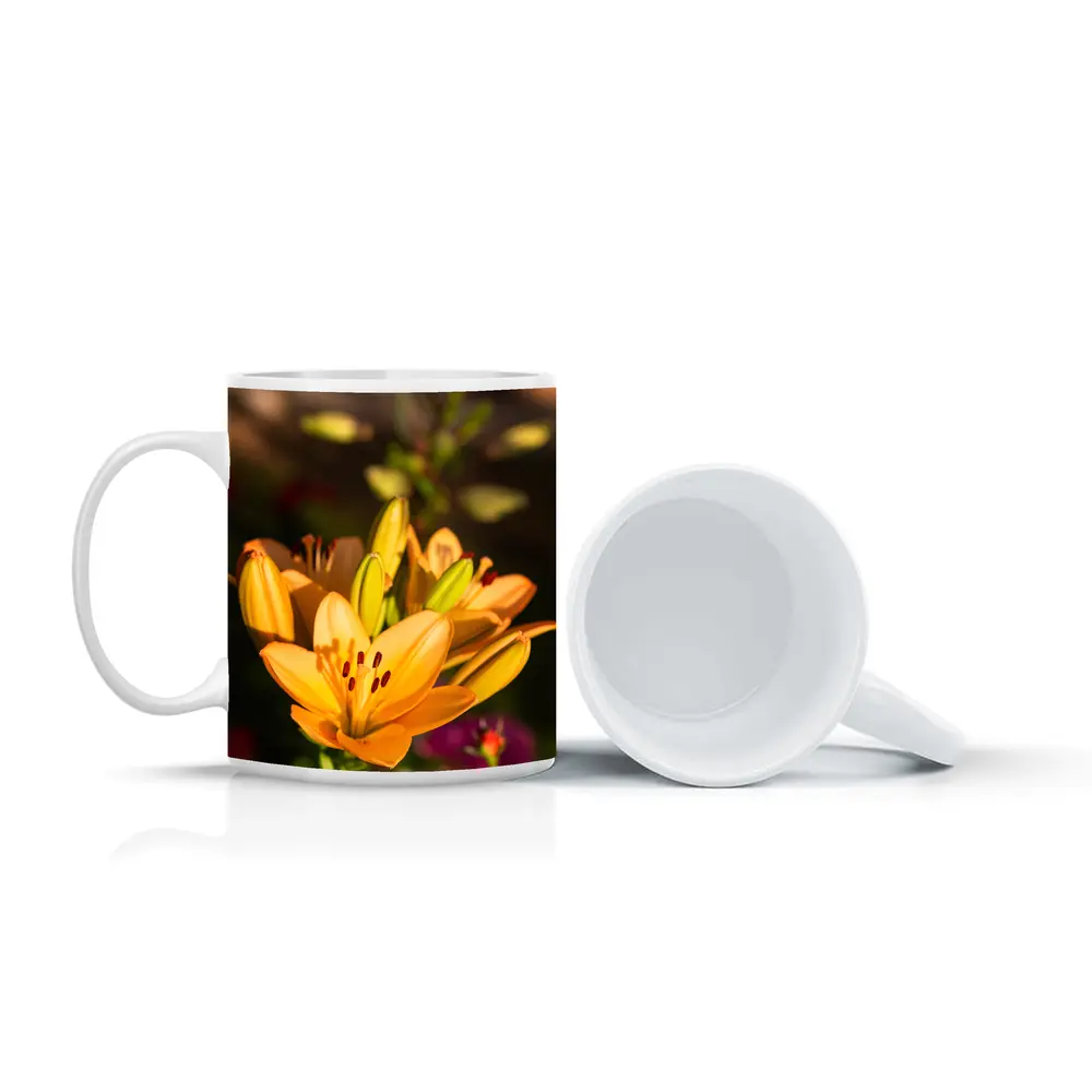 Orange Lily Flowers Blooming Garden Background – Mugs