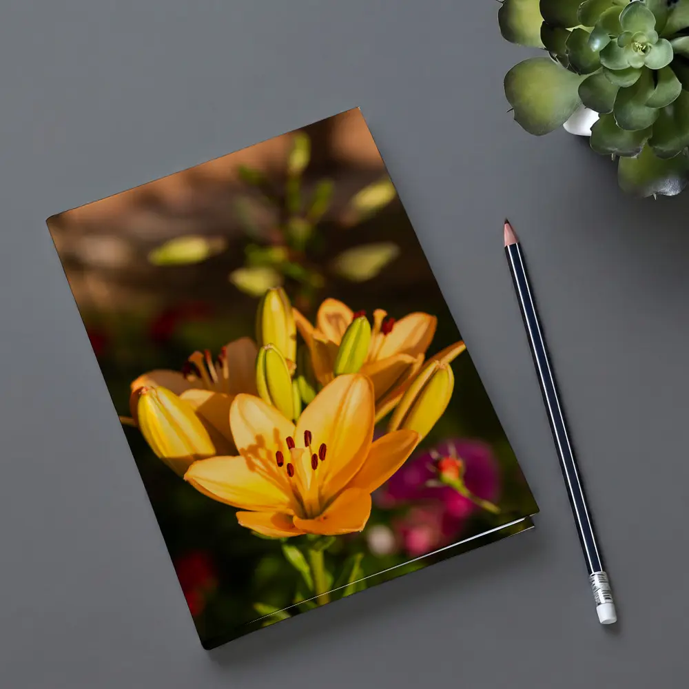 Orange Lily Flowers Blooming Garden Background – Notebooks
