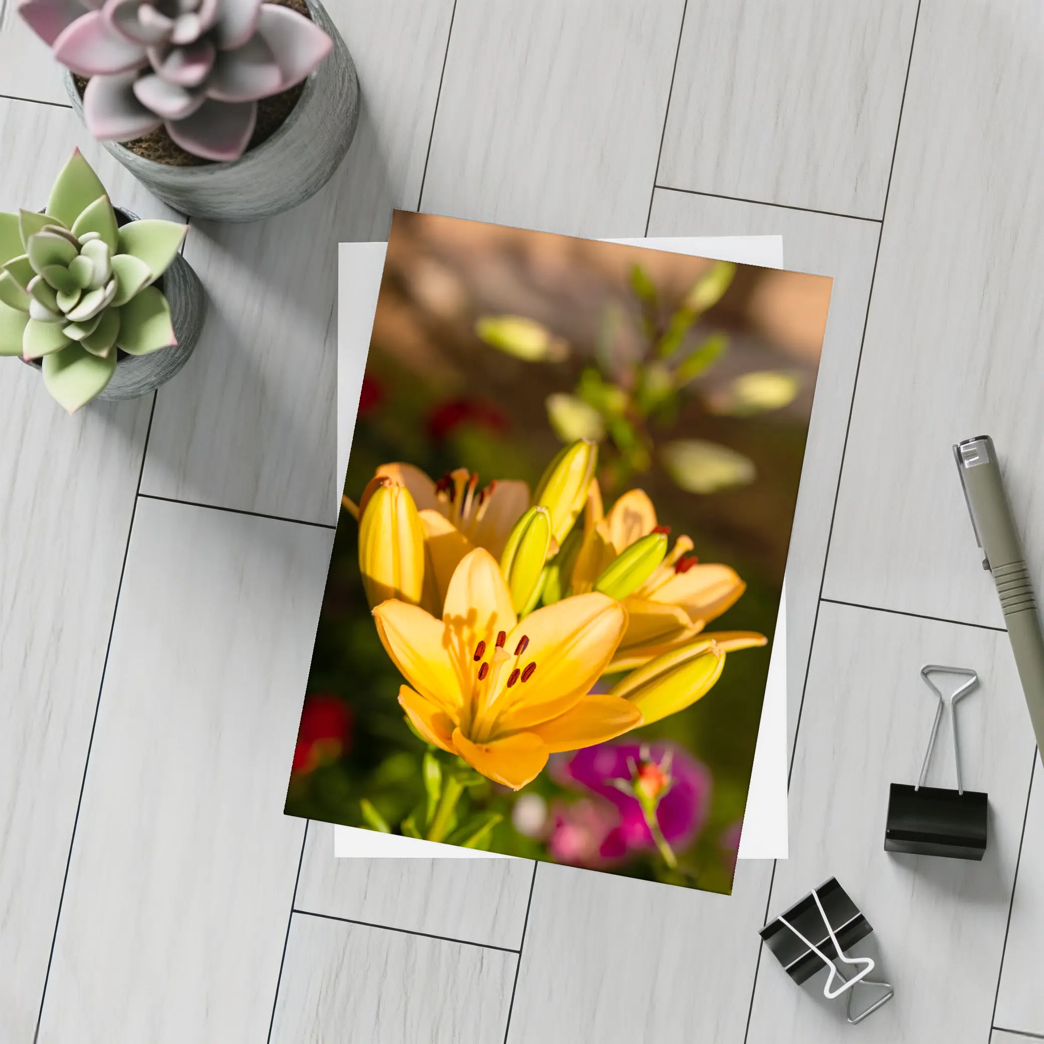 Orange Lily Flowers Blooming Garden Background – Postcards