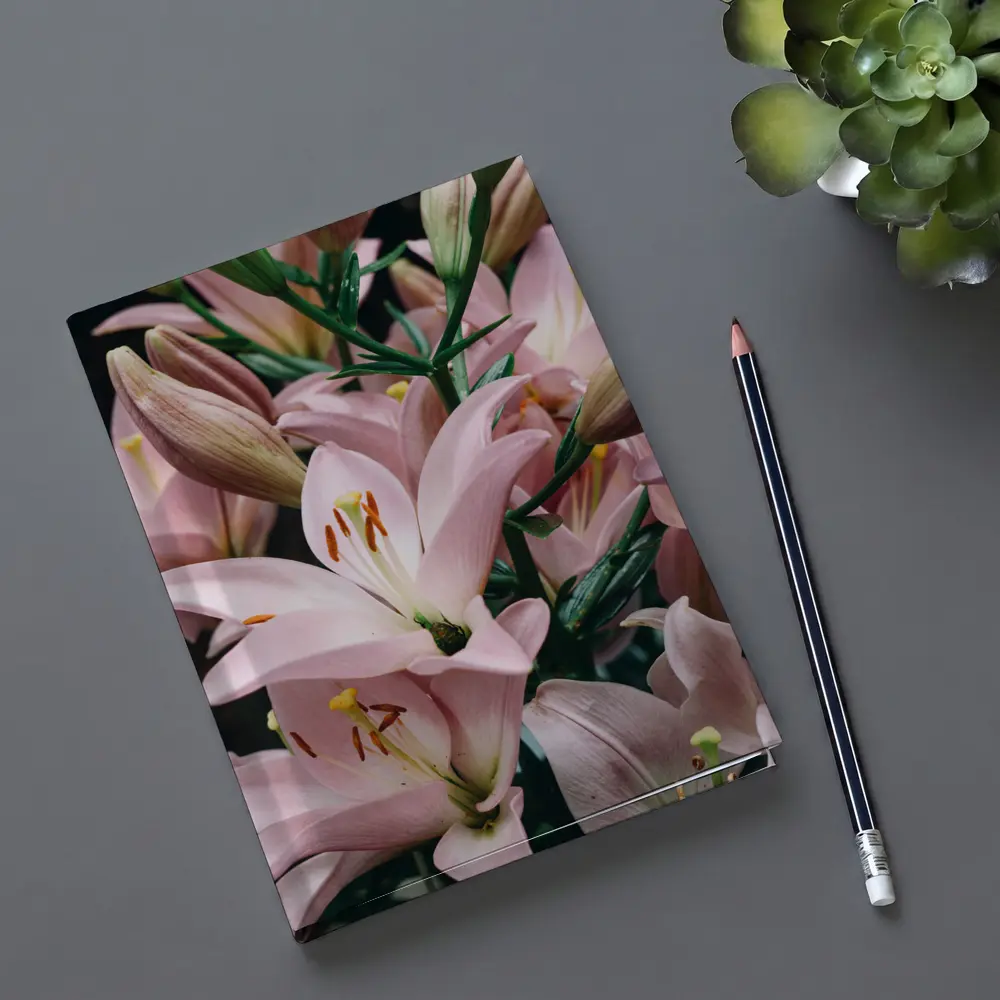 Pink Lily Flowers Close Up Dark Background – Notebooks
