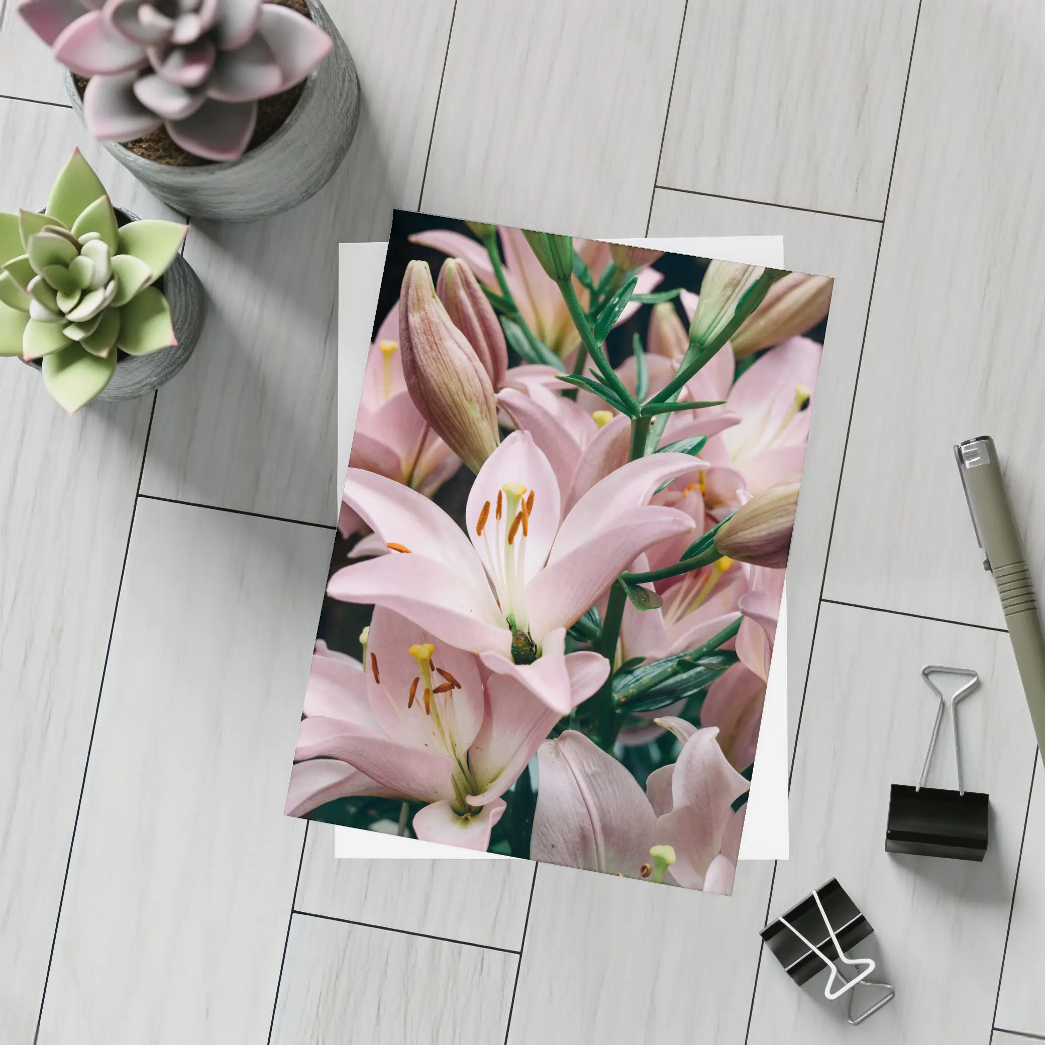 Pink Lily Flowers Close Up Dark Background – Postcards