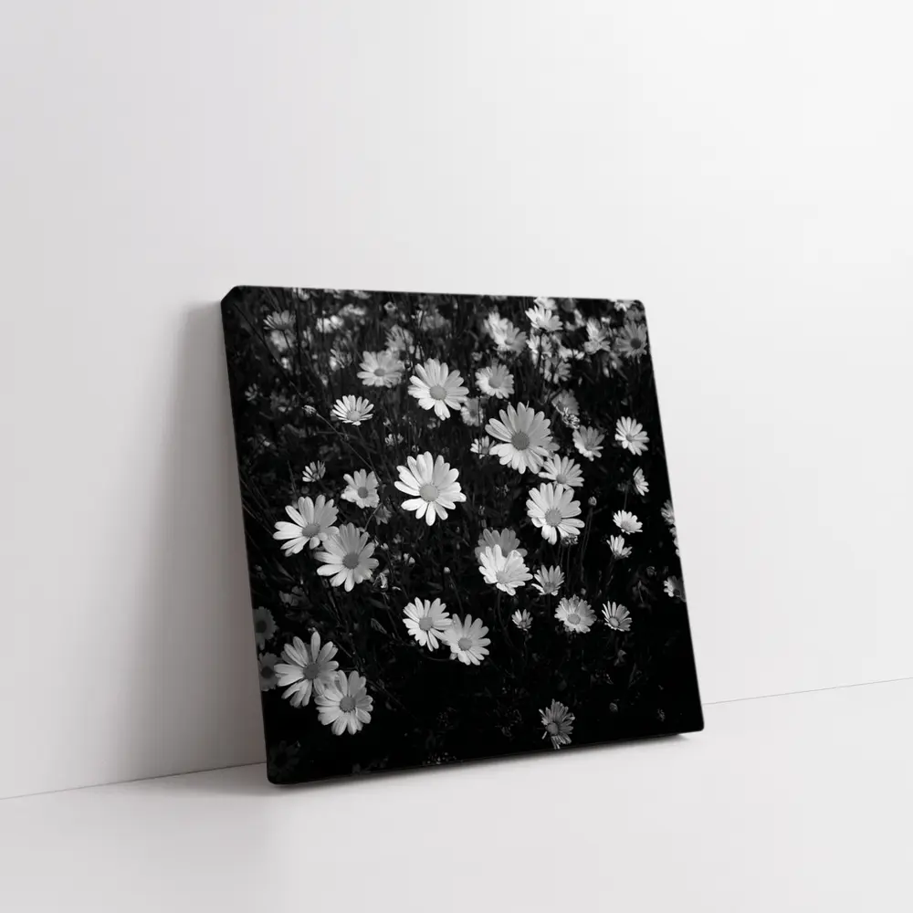 Black and White Daisy Field Floral Art – Wall Art