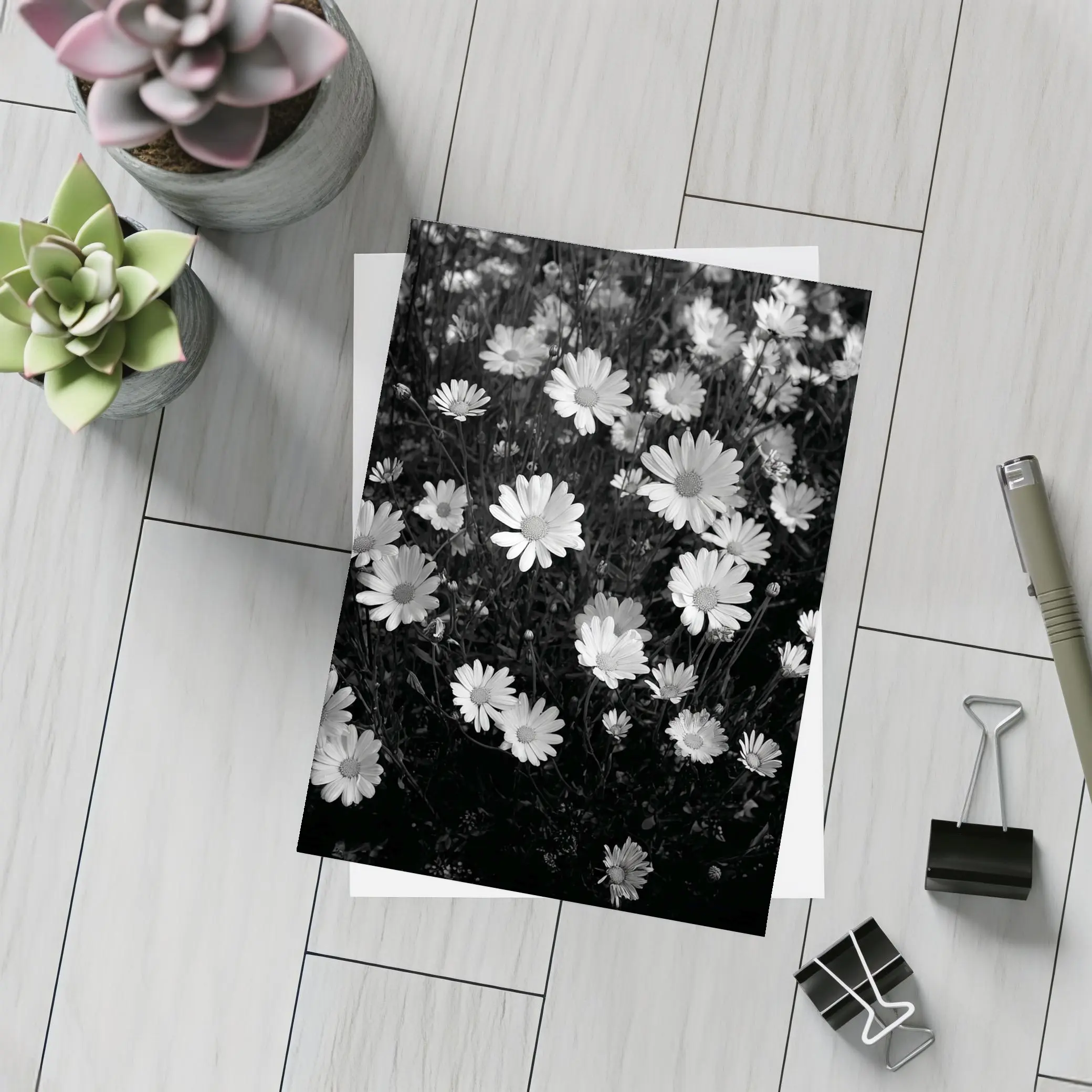 Black and White Daisy Field Floral Art – Postcards