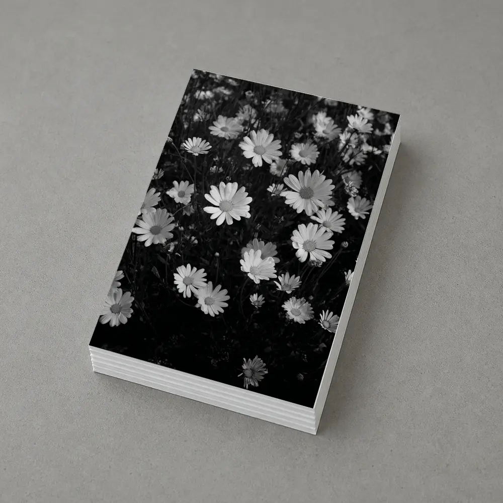 Black and White Daisy Field Floral Art – Postcards