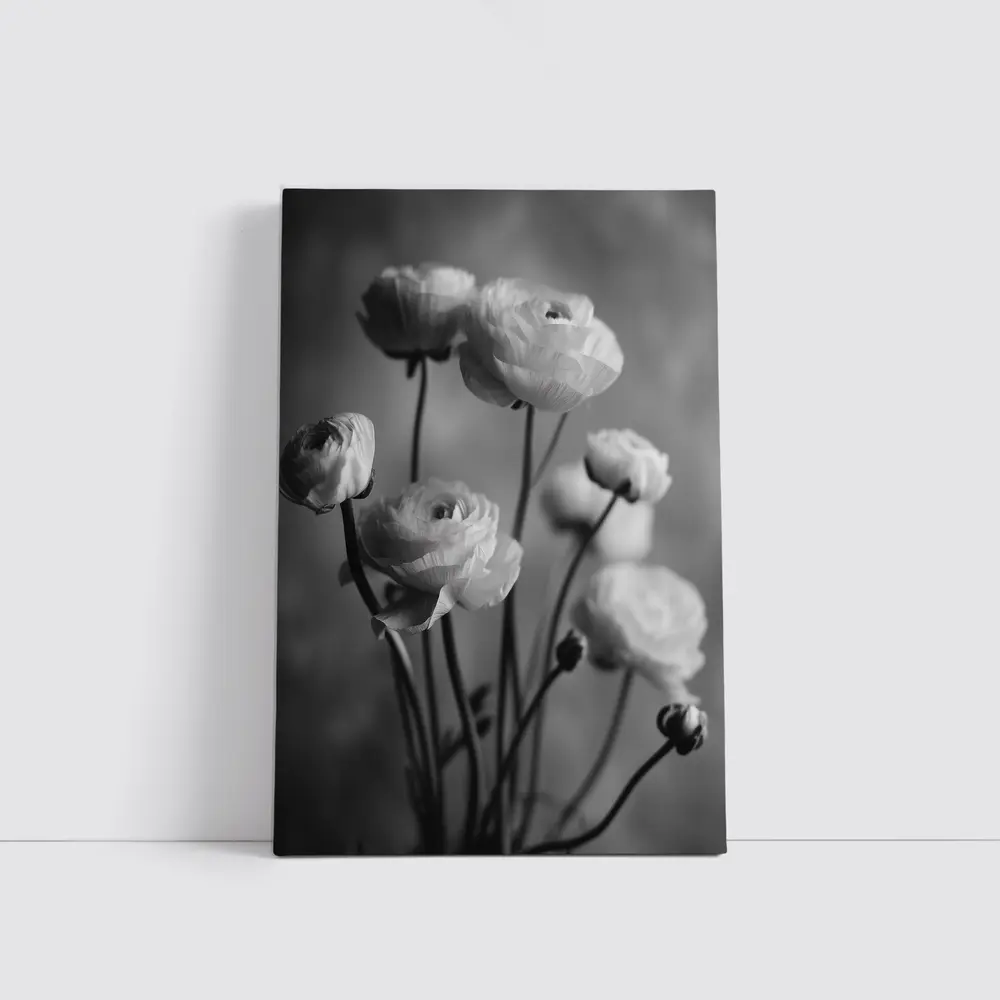 Black and White Ranunculus Flowers Soft Background – Wall Art