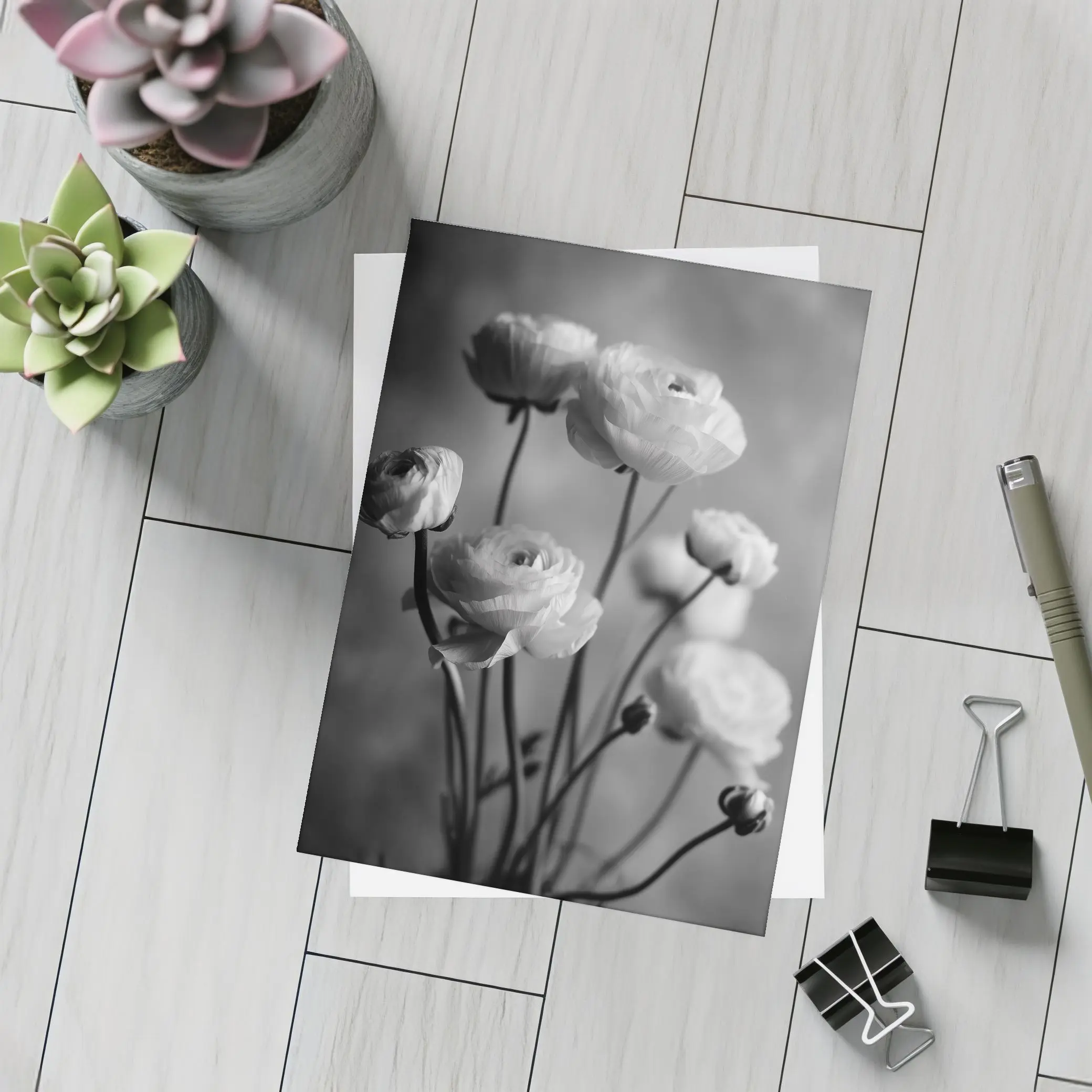 Black and White Ranunculus Flowers Soft Background – Postcards