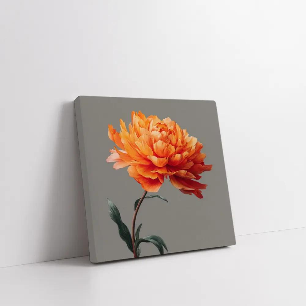 Orange Peony Flower Gray Background Art – Wall Art