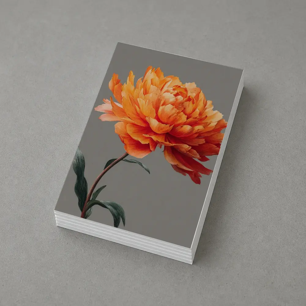 Orange Peony Flower Gray Background Art – Postcards