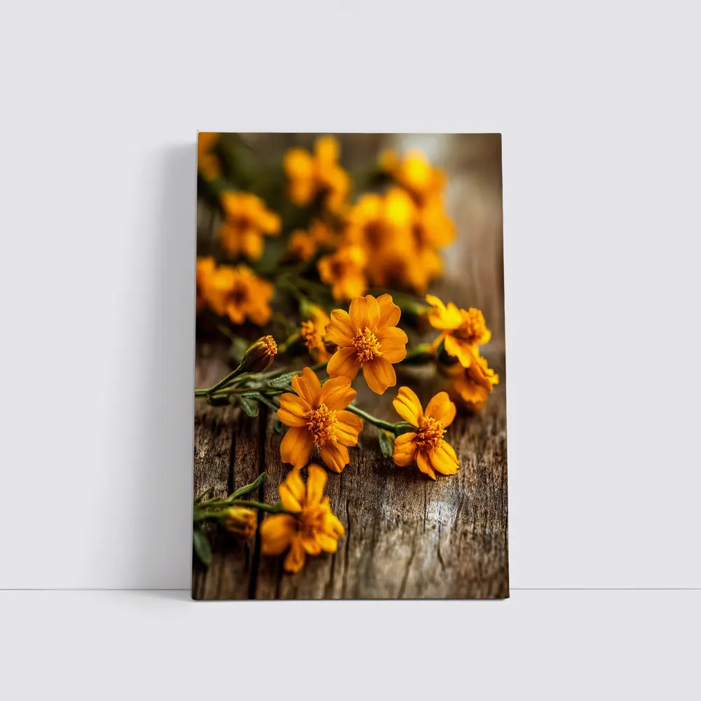 Orange Cosmos Flowers On Rustic Wood – Wall Art