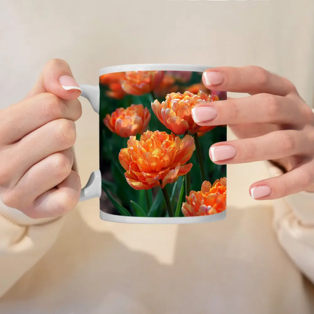 Orange Double Tulips Garden Sunny Day – Mugs