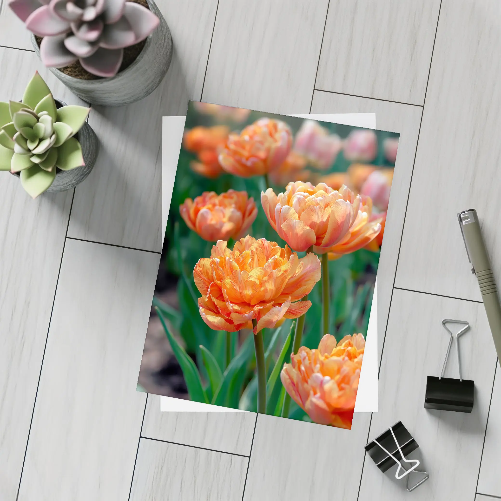 Orange Double Tulips Garden Sunny Day – Postcards