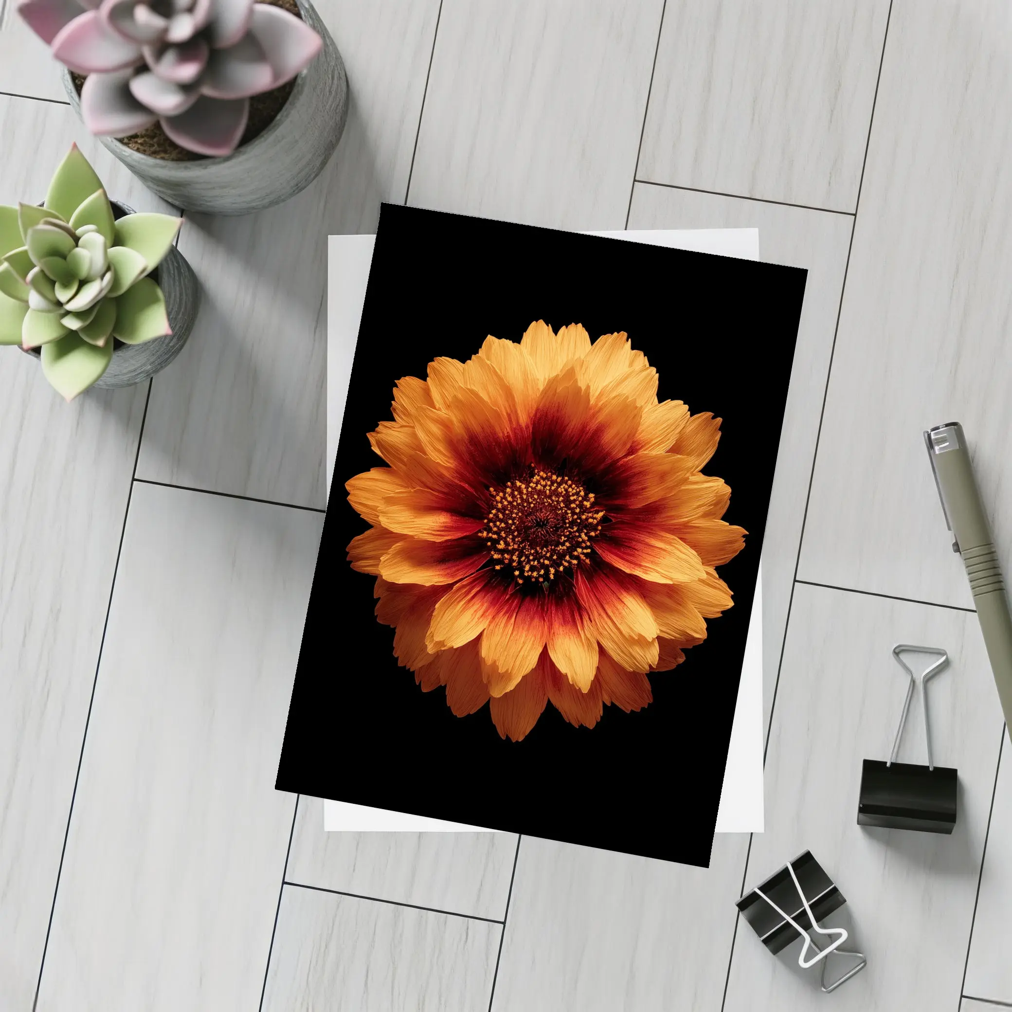 Orange Gaillardia Flower Black Background – Postcards