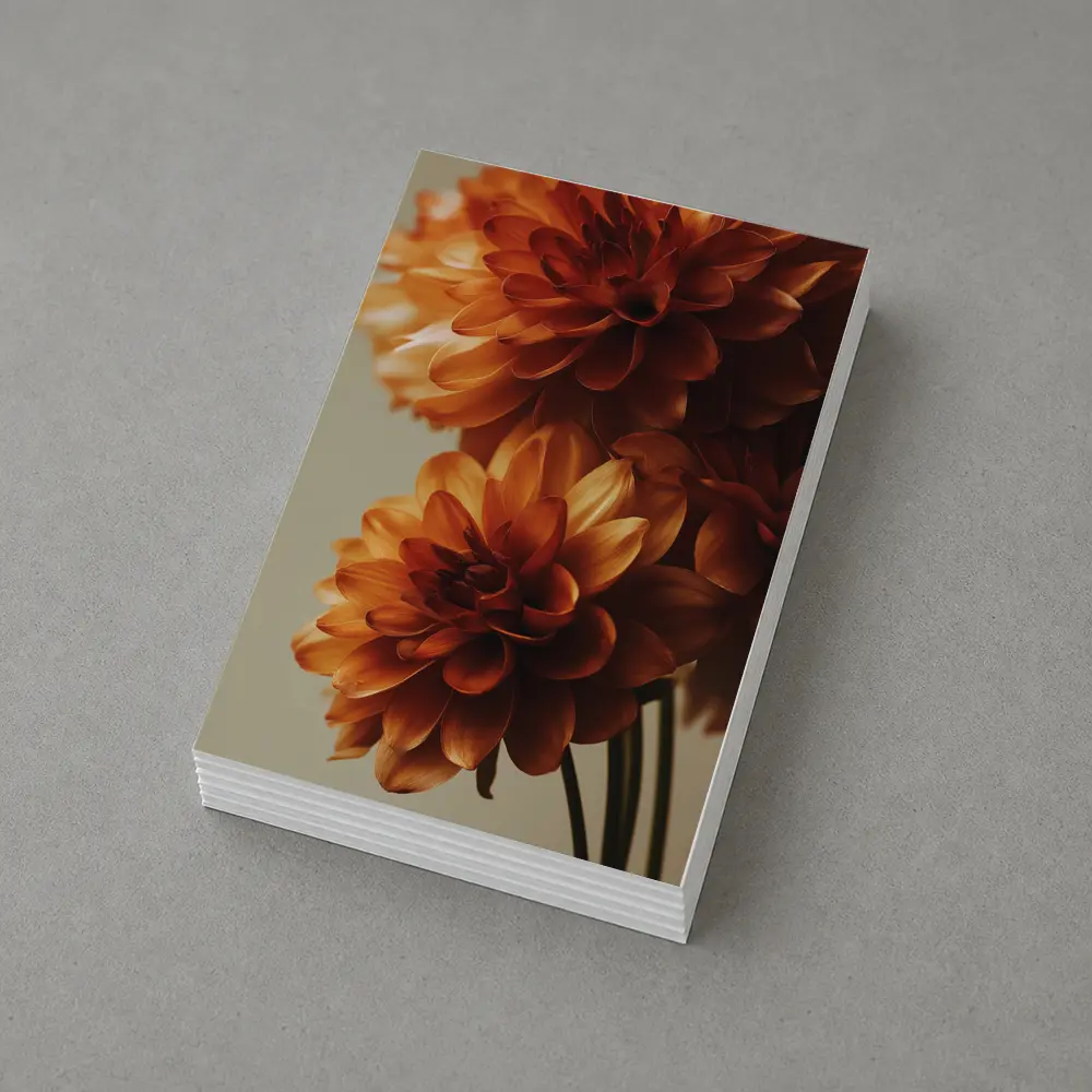 Orange Dahlia Flowers Close Up Neutral Background – Postcards