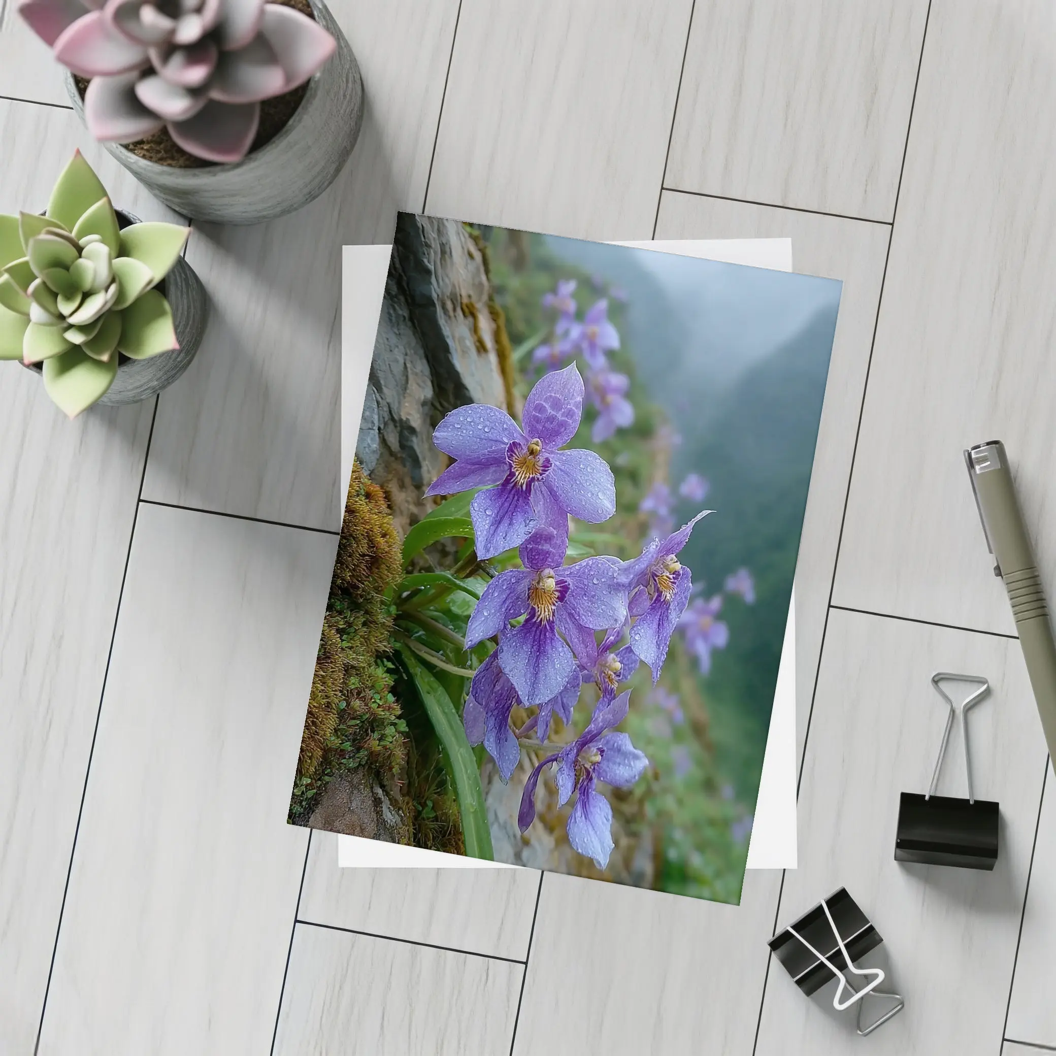 Purple Orchids Growing on Misty Mountain Cliff – Postcards