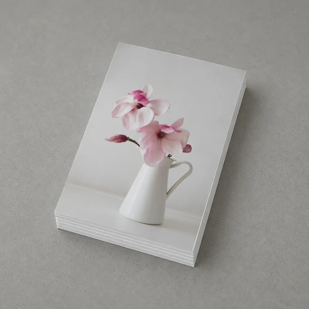 Pink Magnolia Flowers White Ceramic Pitcher – Postcards