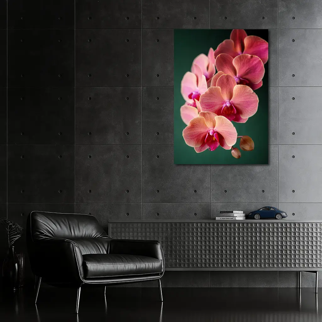 Pink Phalaenopsis Orchid Flowers Dark Green Background – Wall Art