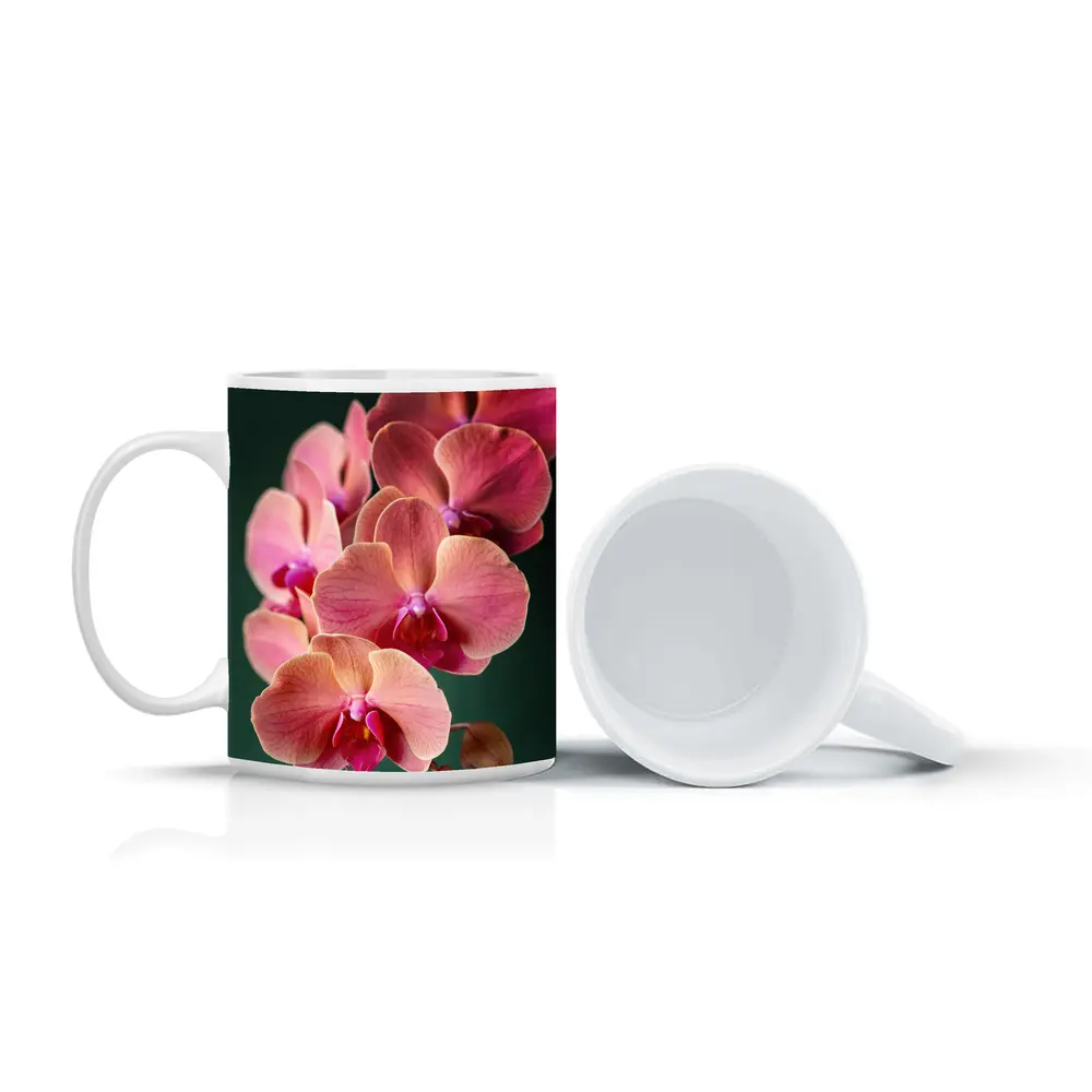 Pink Phalaenopsis Orchid Flowers Dark Green Background – Mugs