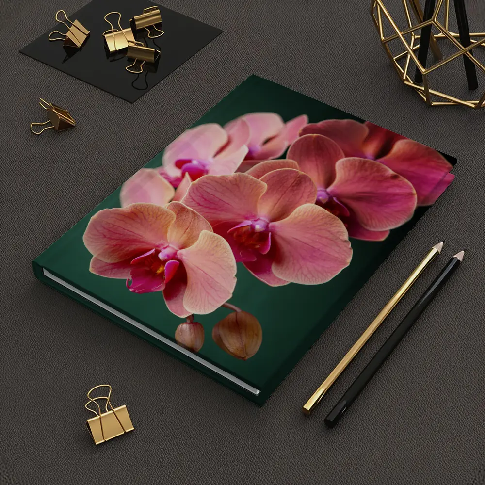 Pink Phalaenopsis Orchid Flowers Dark Green Background – Notebooks