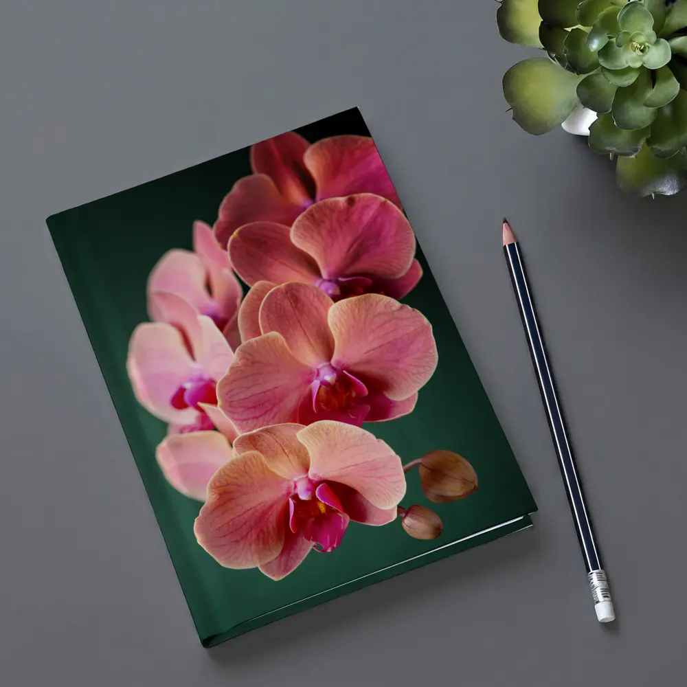 Pink Phalaenopsis Orchid Flowers Dark Green Background – Notebooks