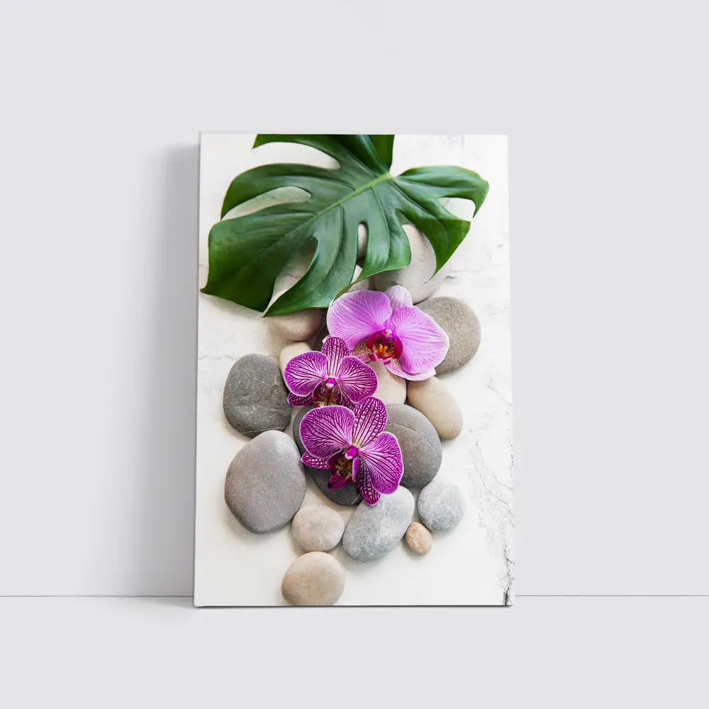 Pink Orchids Monstera Leaf Zen Stones – Wall Art