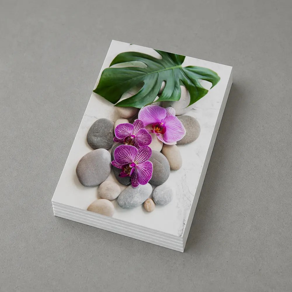 Pink Orchids Monstera Leaf Zen Stones – Postcards