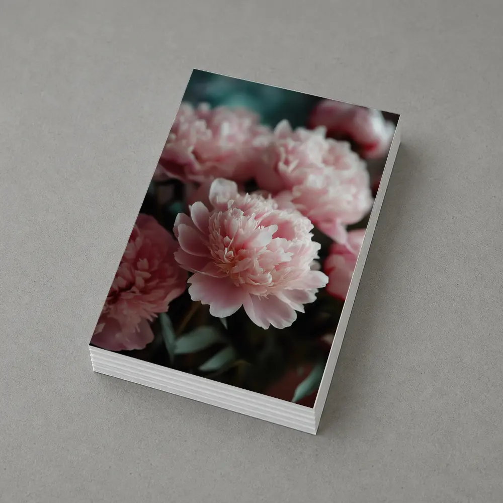 Pink Peonies Blooming Soft Floral Arrangement – Postcards