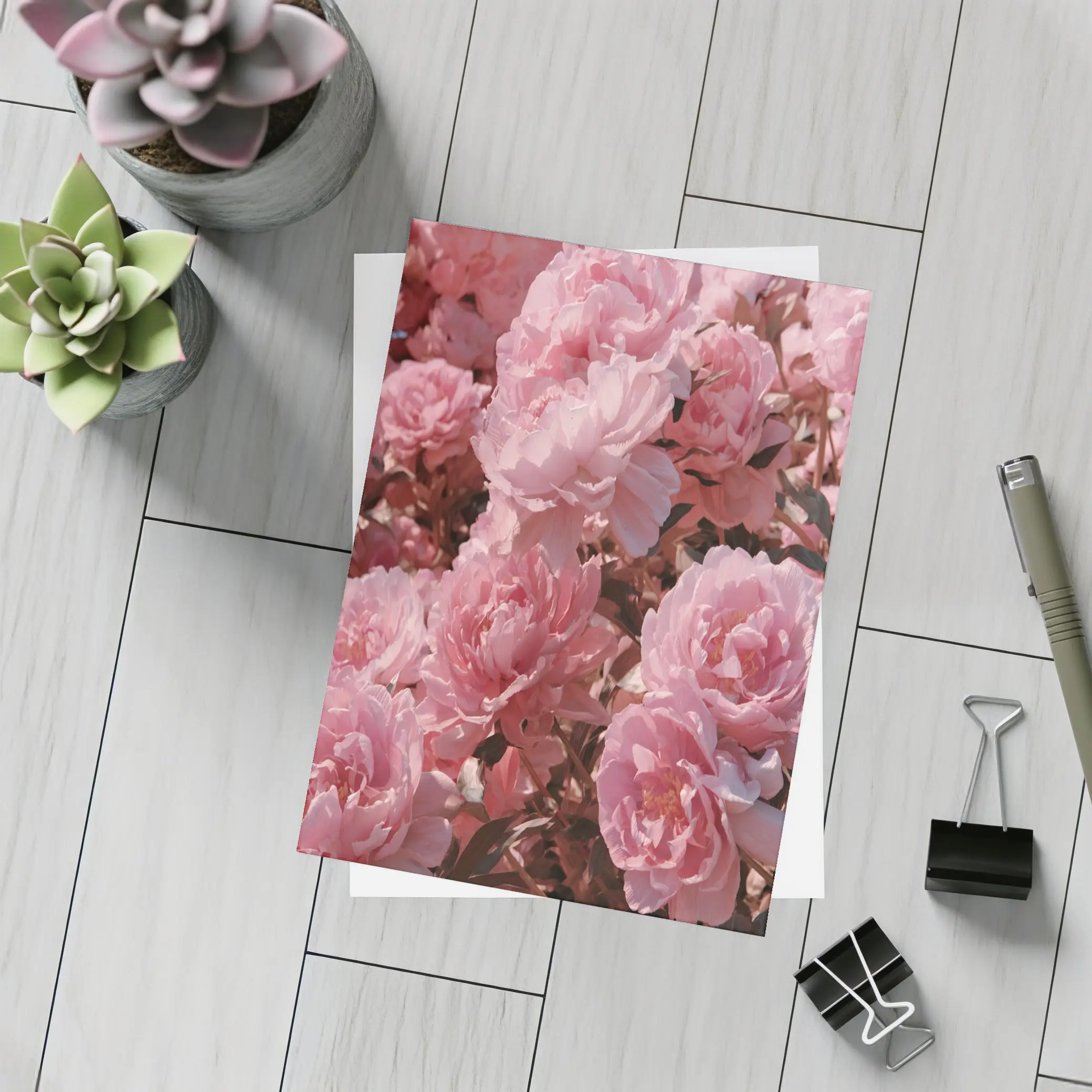 Pink Peonies Blooming In Soft Sunlight – Postcards