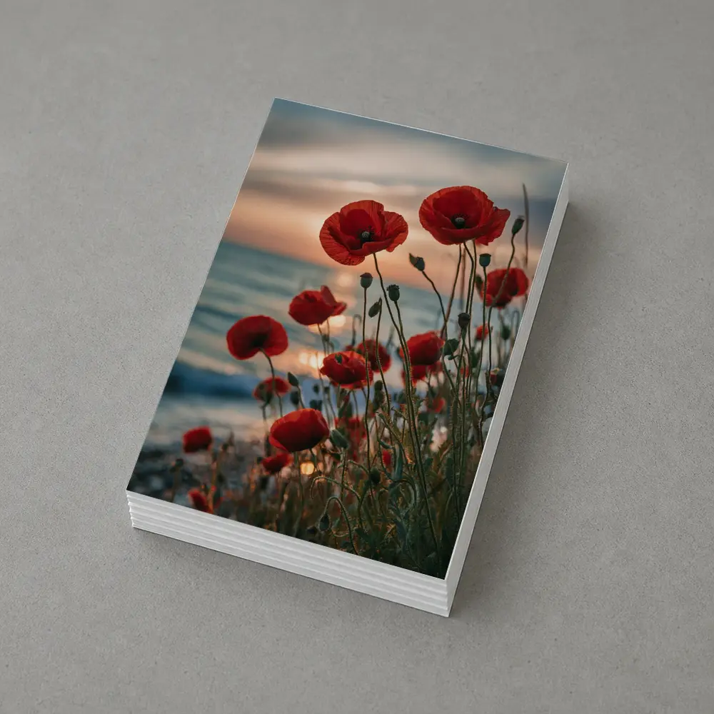 Red Poppies Blooming by Ocean Sunset – Postcards