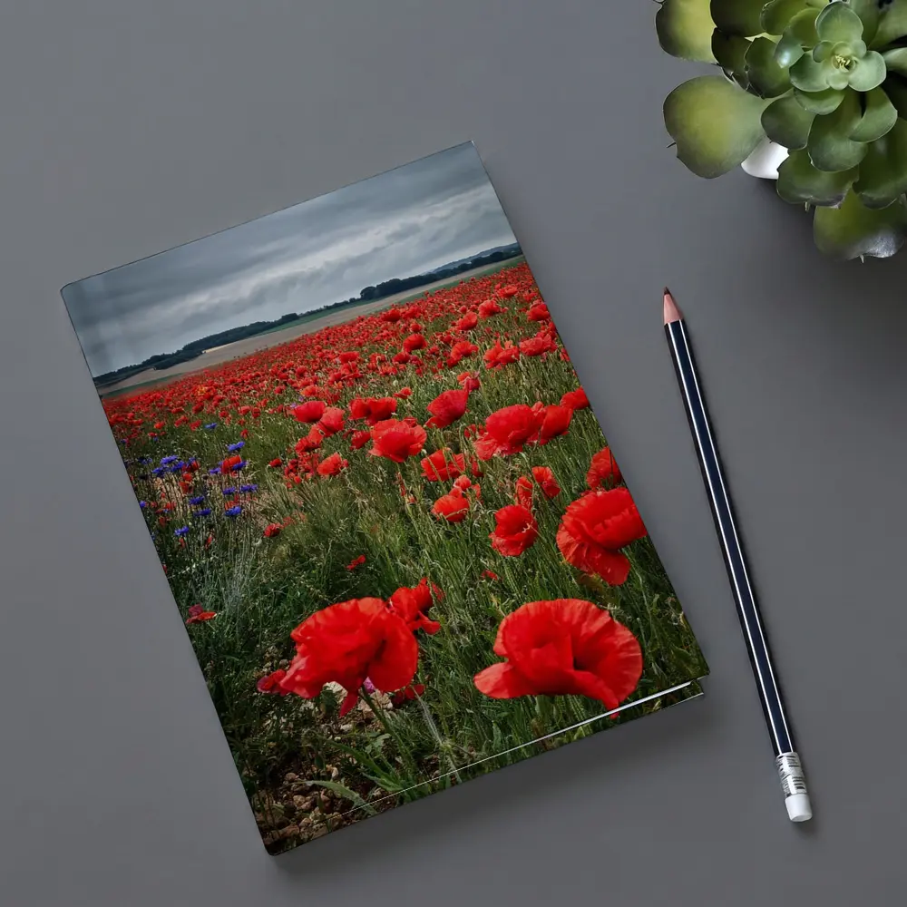 Red Poppies Field Under Cloudy Sky – Notebooks