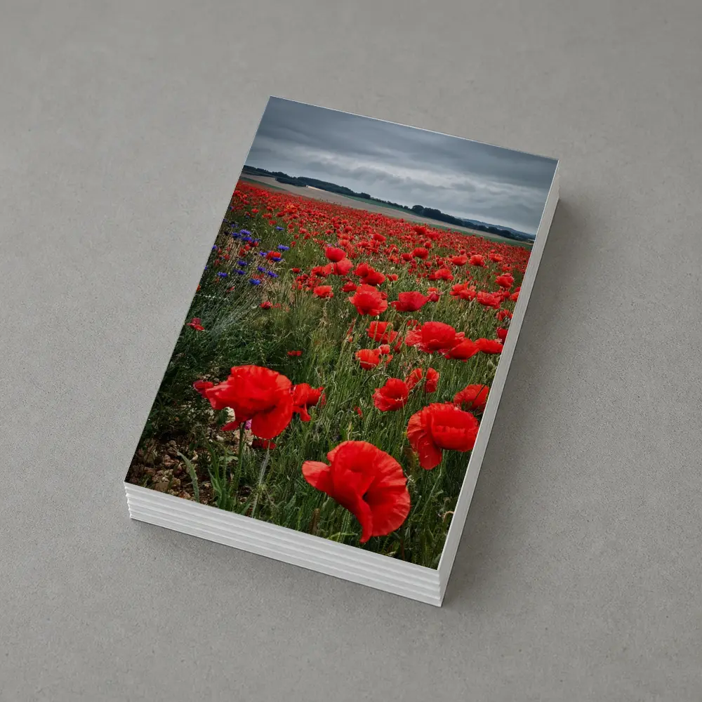 Red Poppies Field Under Cloudy Sky – Postcards
