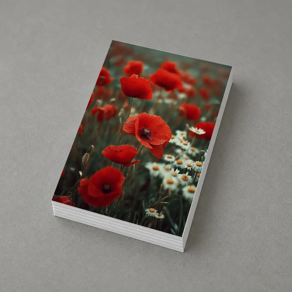 Red Poppies And Daisies Field Overcast Sky – Postcards