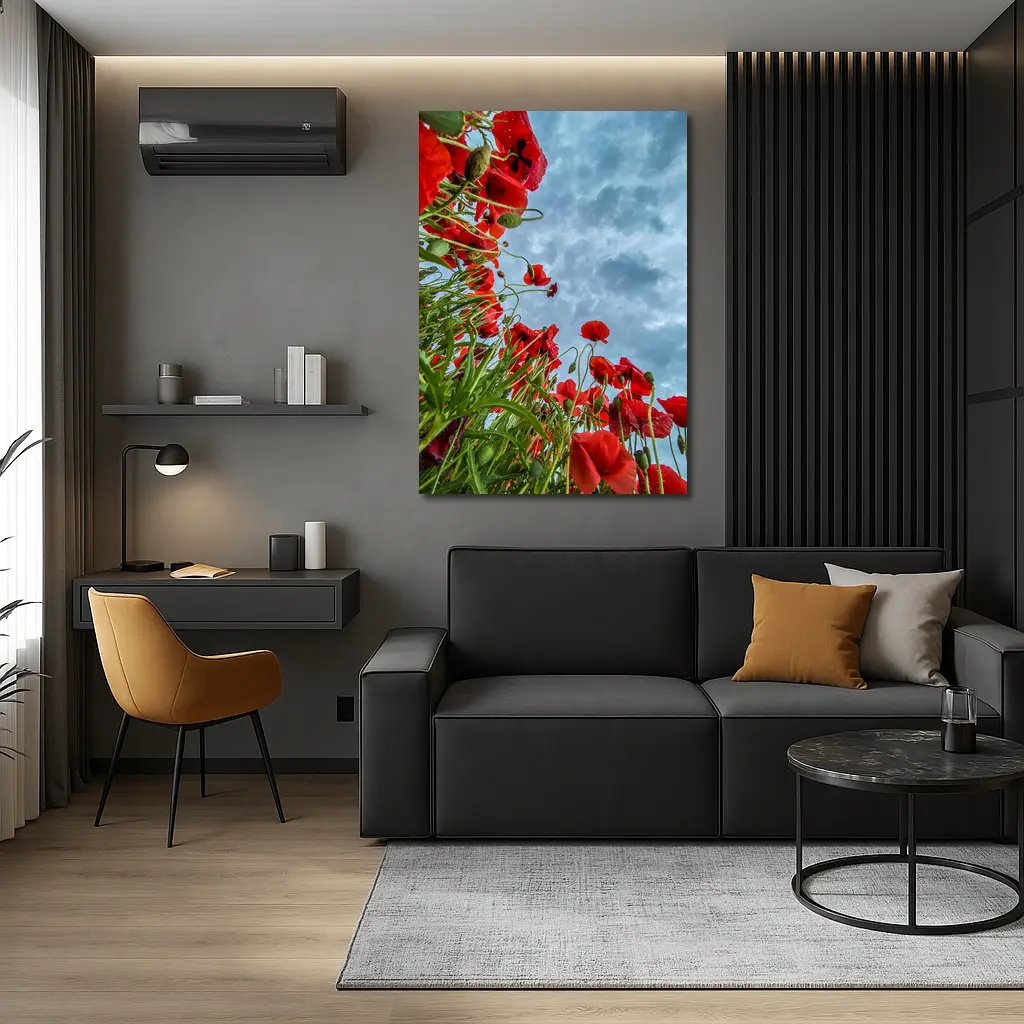 Red Poppies Field Against Cloudy Sky – Wall Art