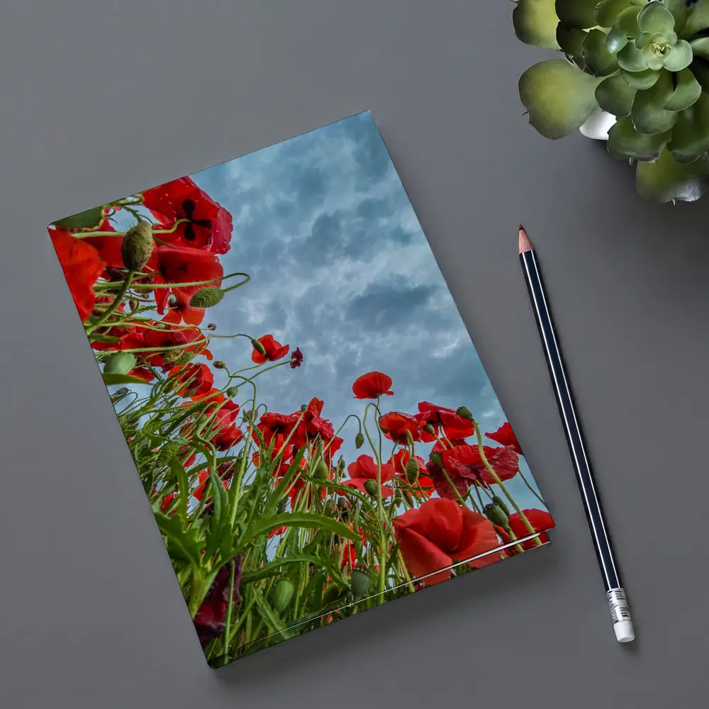 Red Poppies Field Against Cloudy Sky – Notebooks