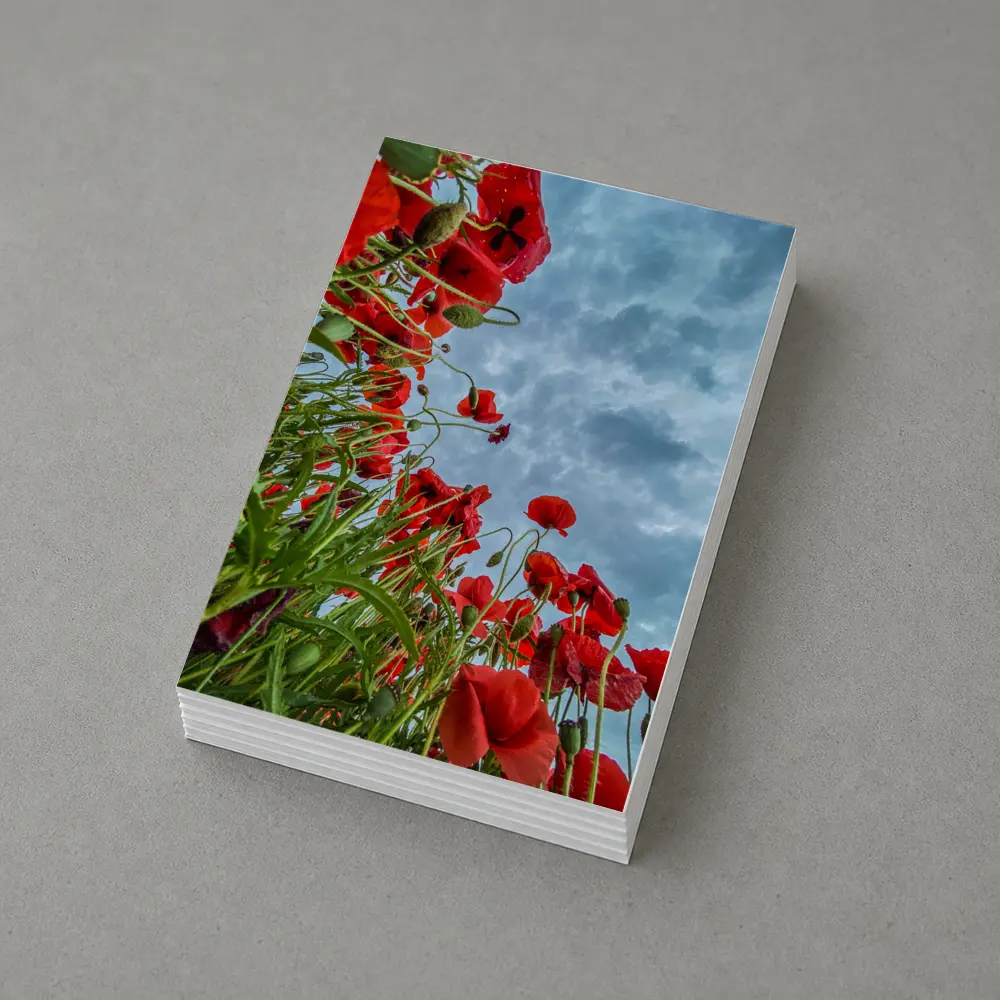 Red Poppies Field Against Cloudy Sky – Postcards