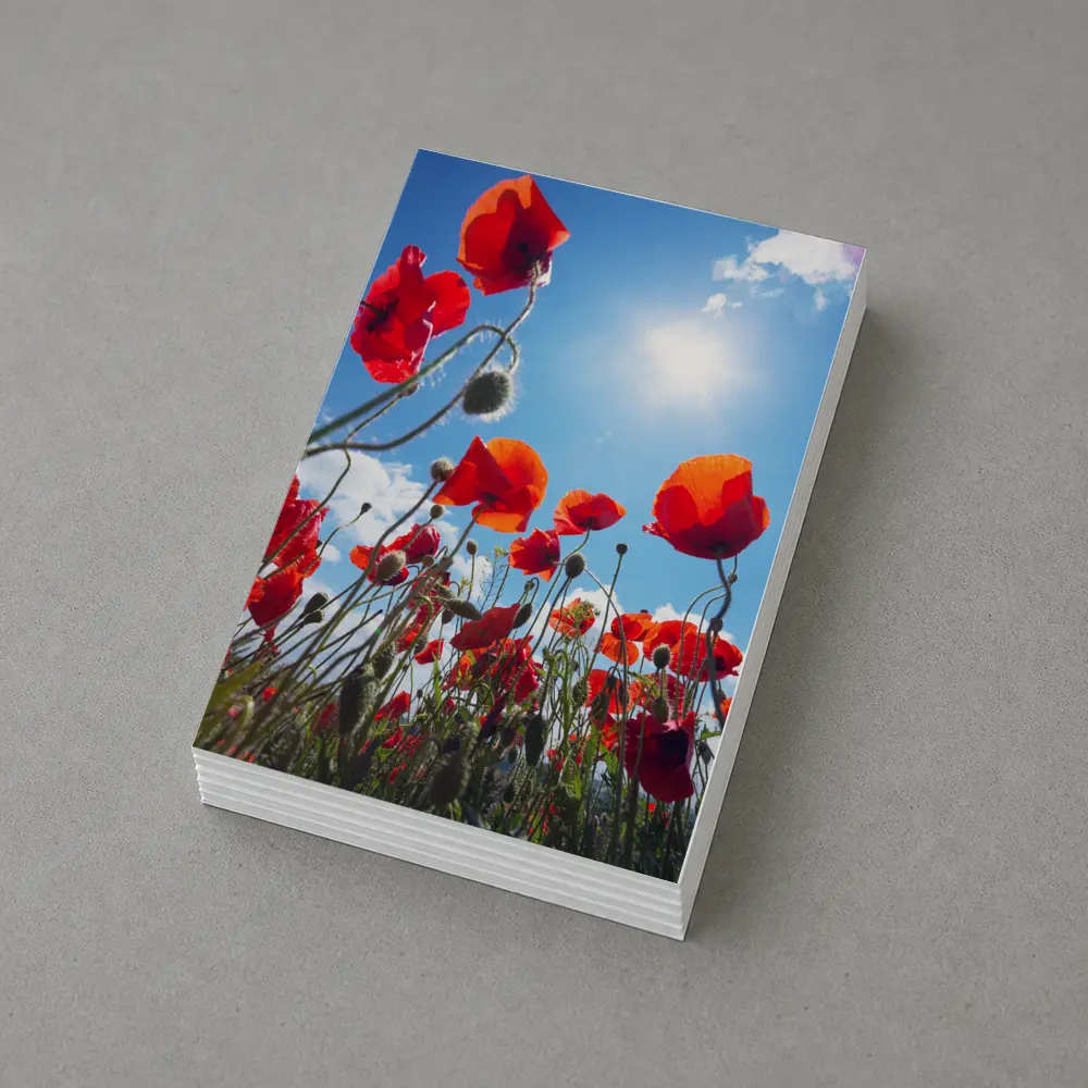 Red Poppies Field Against Sunny Blue Sky – Postcards