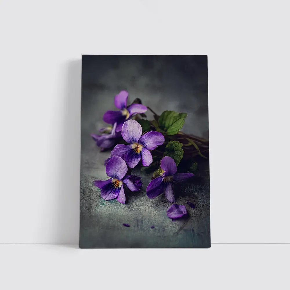 Purple Violet Flowers On Gray Background – Wall Art