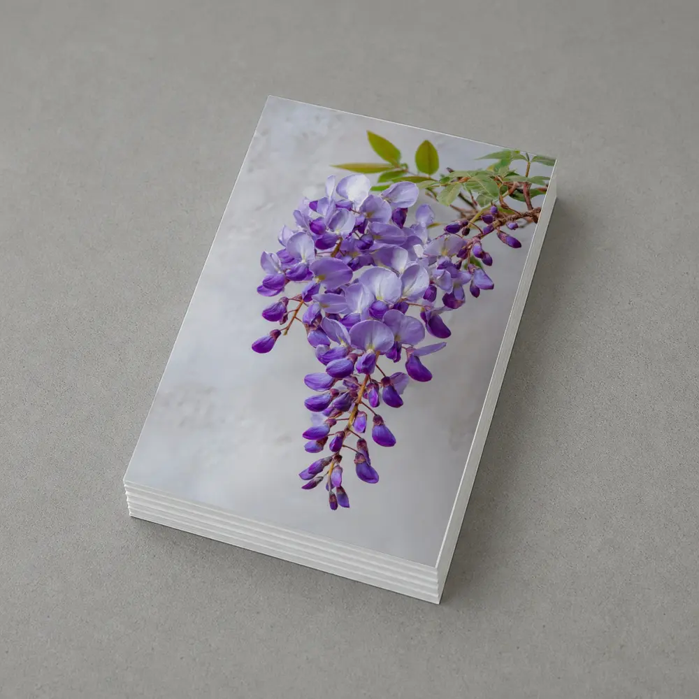 Wisteria Purple Flowers Hanging Gray Background – Postcards