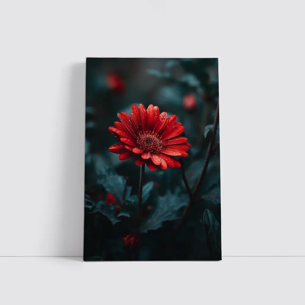 Red Gerbera Daisy With Rain Drops Dark – Wall Art
